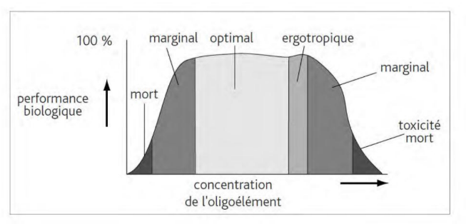 Effet biologique d'un oligo-élément en fonction de sa concentration : entre l'apport optimal et la zone toxique se situe la zone ergotropique, cible de l'oligothérapie pharmacologique.