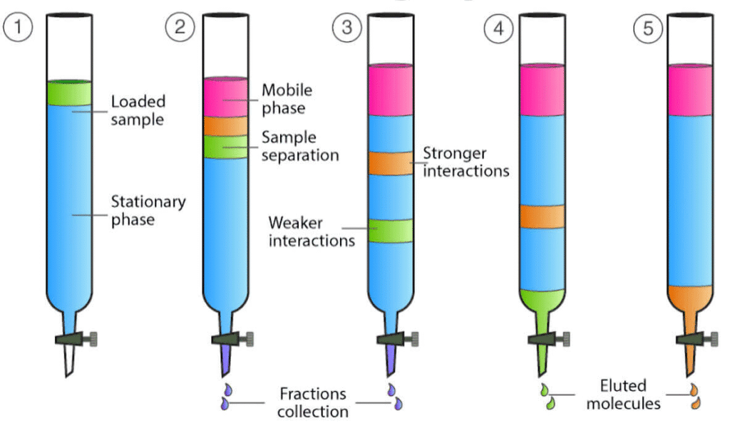  Différents types de colonnes utilisées en chromatographie